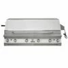 Solaire AGBQ-56 56-Inch Built-In All Grill With Dual Rotisserie