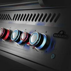 Napoleon BIG38RBSS Stainless Steel Built-In 700 Series 38-Inch Infrared Rear 5-Burner Gas Grill Head -Broil King Shop big32rbss ls g 03 21
