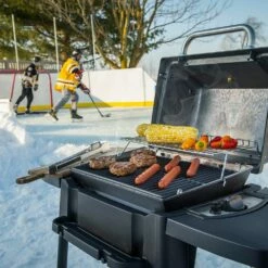 Broil King 950654 Porta-Chef 120 Portable Grill, 18-Inches, Propane -Broil King Shop bk porta chef120 ls d 06 20