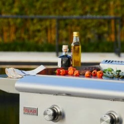 Blaze Freestanding Gas Griddle, 30-Inch -Broil King Shop blz griddle lte cart ltsc config c 03 23