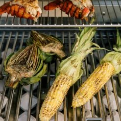 Coyote C-Series Stainless Steel Built-In Gas Grill, 28-Inch (C1C28) -Broil King Shop c1c28 f 07 21