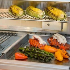 Coyote Stainless Steel Drop-In Griddle, 14-Inch (C1GRDL) -Broil King Shop c1grdl c 07 21