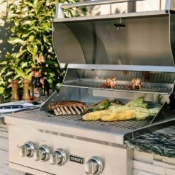Coyote S-Series Stainless Steel Built-In Gas Grill With Infrared Sear Burner & Rotisserie, 30-Inch (C2SL30) -Broil King Shop c2sl30 e 07 21