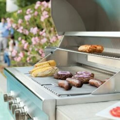 Coyote C-Series Stainless Steel Built-In Gas Grill, 36-Inch (C2C36) -Broil King Shop c2sl42 ct d 07 21 2