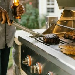 Coyote S-Series Stainless Steel Built-In Gas Grill With Infrared Sear Burner & Rotisserie, 42-Inch (C2SL42) -Broil King Shop c2sl42 f 07 21