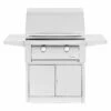 Summerset SBG30 Builder Series Gas Grill On Pedestal, 30-Inch