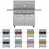 Aspire By Hestan EBR42 Freestanding Gas Grill, 42-Inch
