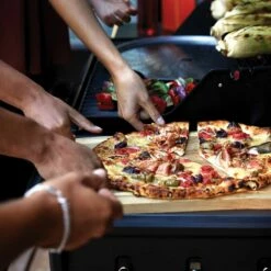 Napoleon F425DSBPGT-ECP Freestyle 425 Gas Grill On Cart With Side Range Burner, Propane -Broil King Shop f425dsbpgt ecp g 05 22