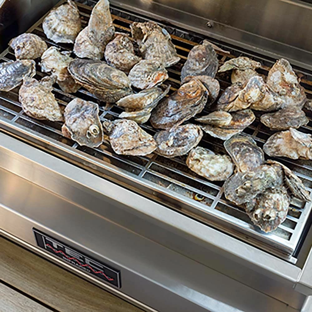 TEC GSRSMKR Infrared Smoker/Roaster For G-Sport Grills 2 TEC GSRSMKR Infrared Smoker/Roaster For G-Sport Grills - Image 2