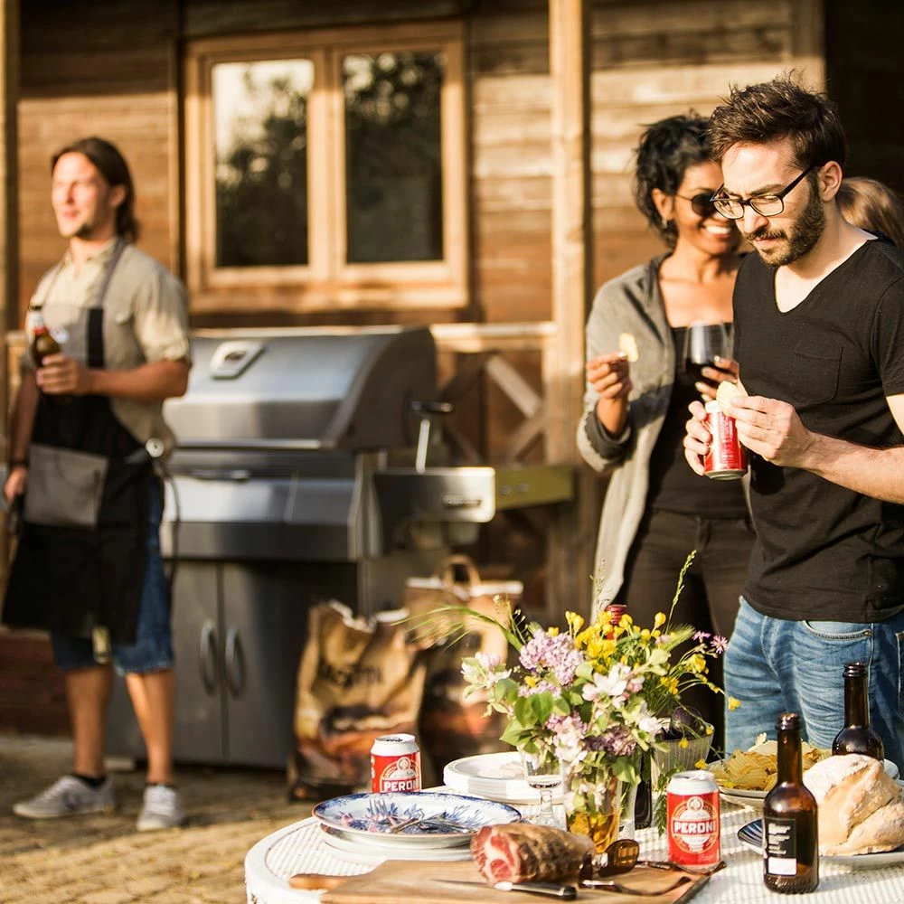 Napoleon PRO605CSS Professional Charcoal Grill On Cart 7 Napoleon PRO605CSS Professional Charcoal Grill On Cart - Image 7