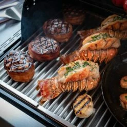 Saber R42SC0321 3-Burner Select Freestanding Infrared Grill, 24-Inches 33 Saber R42SC0321 3-Burner Select Freestanding Infrared Grill, 24-Inches -Broil King Shop r42sc0321 p 05 21