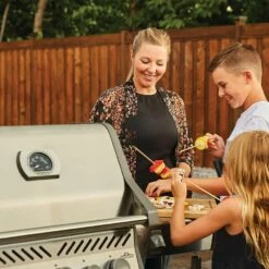 Napoleon RSE425RSIBSS Rogue SE 425 Gas Grill On Cart With Infrared Side And Rear Burners, 23.75-Inches -Broil King Shop rse425rsibpss ls i 07 20