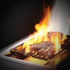 Napoleon RSE425RSIBSS Rogue SE 425 Gas Grill On Cart With Infrared Side And Rear Burners, 23.75-Inches -Broil King Shop rse625rsibpss feat d 07 20 2