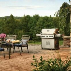 Napoleon RSE625RSIBSS Rogue SE 625 Gas Grill On Cart With Infrared Side And Rear Burners, 34.75-Inches 25 Napoleon RSE625RSIBSS Rogue SE 625 Gas Grill On Cart With Infrared Side And Rear Burners, 34.75-Inches -Broil King Shop rse625rsibpss ls a 07 20