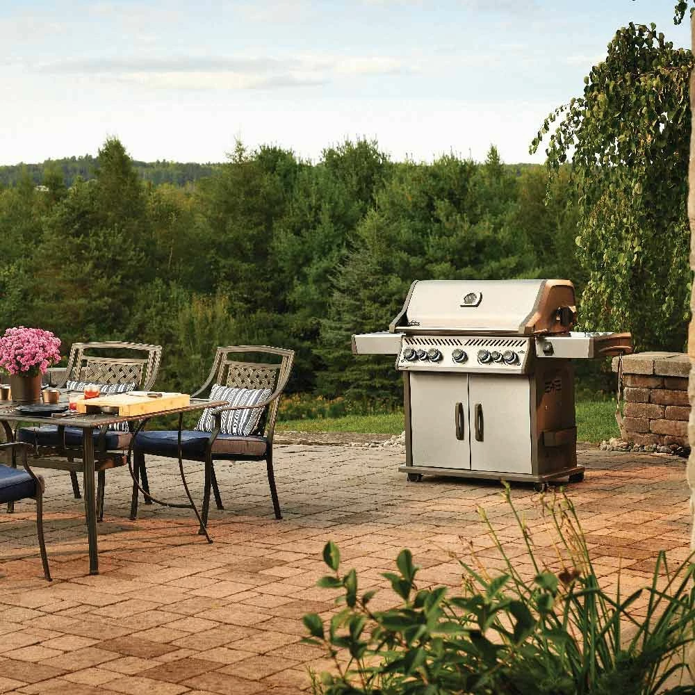 Napoleon RSE625RSIBSS Rogue SE 625 Gas Grill On Cart With Infrared Side And Rear Burners, 34.75-Inches 11 Napoleon RSE625RSIBSS Rogue SE 625 Gas Grill On Cart With Infrared Side And Rear Burners, 34.75-Inches - Image 11