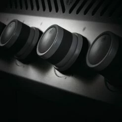 Napoleon RXT525SIBSS Rogue XT 525 Gas Grill On Cart With Infrared Side Burner, 28.75-Inches -Broil King Shop rxt ss feature 3 01 20