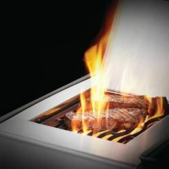 Napoleon RXT525SIBSS Rogue XT 525 Gas Grill On Cart With Infrared Side Burner, 28.75-Inches -Broil King Shop rxt ss feature 6 01 20