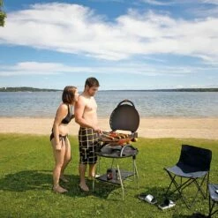 Napoleon TQ2225PO-STAND TravelQ Portable Gas Tabletop Grill With Base, Propane -Broil King Shop tq2225 stand d 08 21