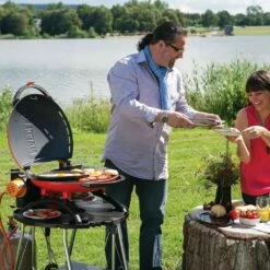 Napoleon TQ2225PO-STAND TravelQ Portable Gas Tabletop Grill With Base, Propane -Broil King Shop tq2225po tq2225 stand ls a 08 21