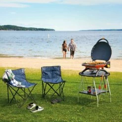 Napoleon TQ2225PO-STAND TravelQ Portable Gas Tabletop Grill With Base, Propane -Broil King Shop tq2225po tq2225 stand ls b 08 21