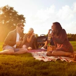 Napoleon TQ285-BL-1 TravelQ Portable Tabletop Gas Grill, Propane -Broil King Shop tq285 lifestyle warm sunny day