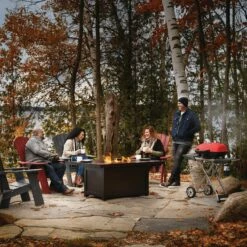 Napoleon TQ285X-BL-1 TravelQ 285 Portable Grill With Scissor Cart, Propane -Broil King Shop tq285x muskoka lifestyle main people sitting