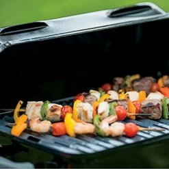 Weber Go-Anywhere Portable Propane Gas Grill (WEB-1141001) -Broil King Shop web 1141001 ls c 05 22