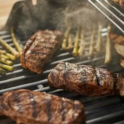 Weber Spirit II E-210 2-Burner Freestanding Propane Gas Grill (WEB-44010001) 14 Weber Spirit II E-210 2-Burner Freestanding Propane Gas Grill (WEB-44010001) -Broil King Shop web 44010001 feat a 05 22