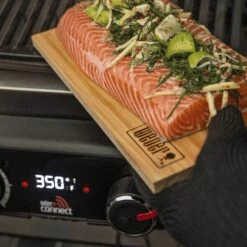 Weber Pulse 2000 Electric Grill On Cart, 120V (WEB-5012001-WEB-6012001) -Broil King Shop web 5012001 ls e 05 22 1