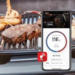 Weber Pulse 2000 Electric Grill On Cart, 120V (WEB-5012001-WEB-6012001) -Broil King Shop web 5012001 ls g 05 22 1