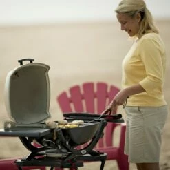 Weber Q2200 Portable Propane Gas Grill With Side Tables (WEB-54060001) -Broil King Shop web 54060001 ls a 05 22 1