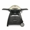 Weber Q3200 2-Burner Freestanding Gas Grill (WEB-Q3200)