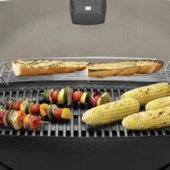 Weber Q3200 2-Burner Freestanding Gas Grill (WEB-Q3200) -Broil King Shop web q3200 config b 05 22