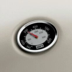 Weber Q3200 2-Burner Freestanding Gas Grill (WEB-Q3200) -Broil King Shop web q3200 ls f 05 22