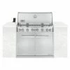 Weber Summit 6-Burner Built-In Gas Grill With Rotisserie, Sear Station And Access Doors (WEB-S-660)
