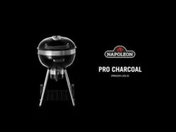 Napoleon PRO22K-LEG-2 Professional Charcoal Kettle Leg Grill -Broil King Shop zAdDjx4Zho 21